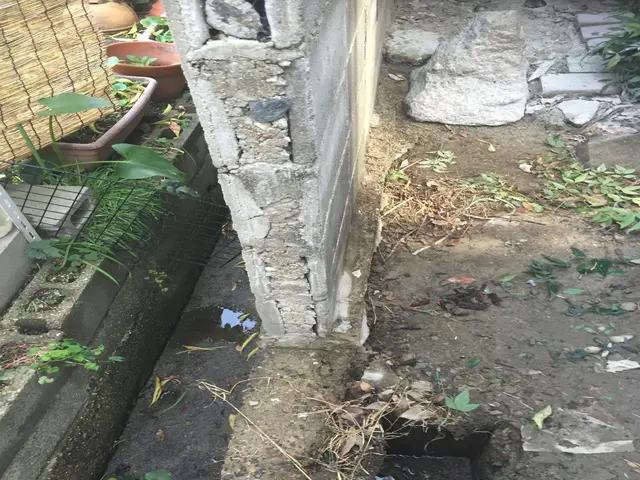 ◆事前見積もりで追加料金なし！◆サービスの画像