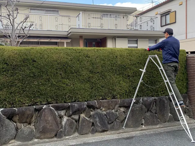 【お庭に新しい風と光と美しさをお届け】2月22日オープン記念に〇〇をプレゼント中サービスの画像