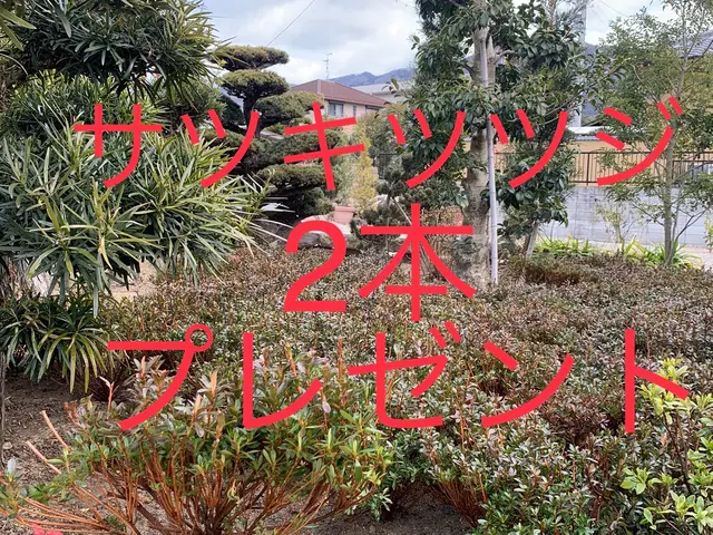 【お庭に新しい風と光と美しさをお届け】2月22日オープン記念に〇〇をプレゼント中サービスの画像