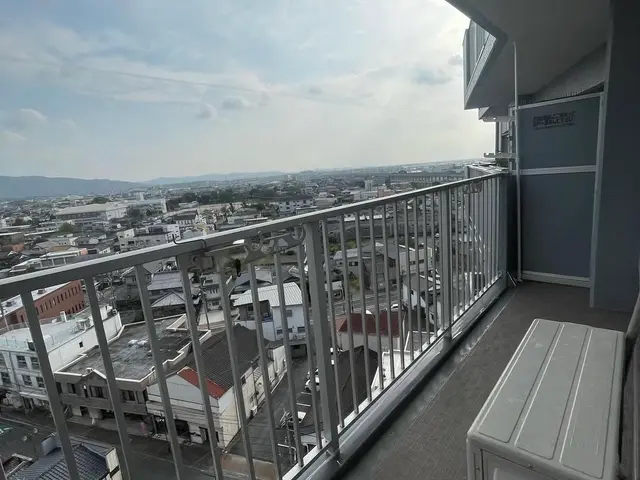 鳩の糞害　ベランダ　バルコニー高圧洗浄サービスの画像