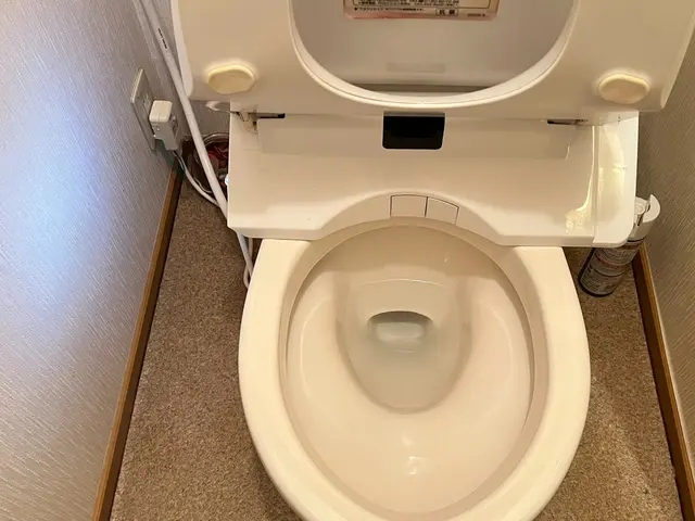トイレクリーニングサービスの画像