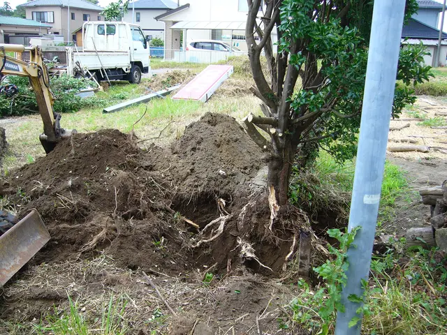 草刈り対応いたします。（立会い不要）サービスの画像
