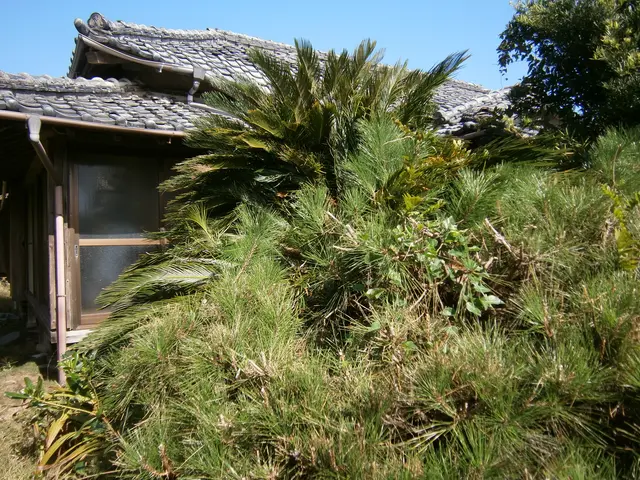 草刈り対応いたします。（立会い不要）サービスの画像