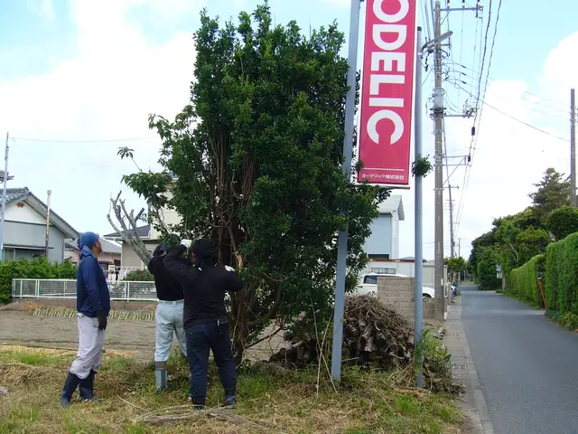 草刈り対応いたします。（立会い不要）サービスの画像