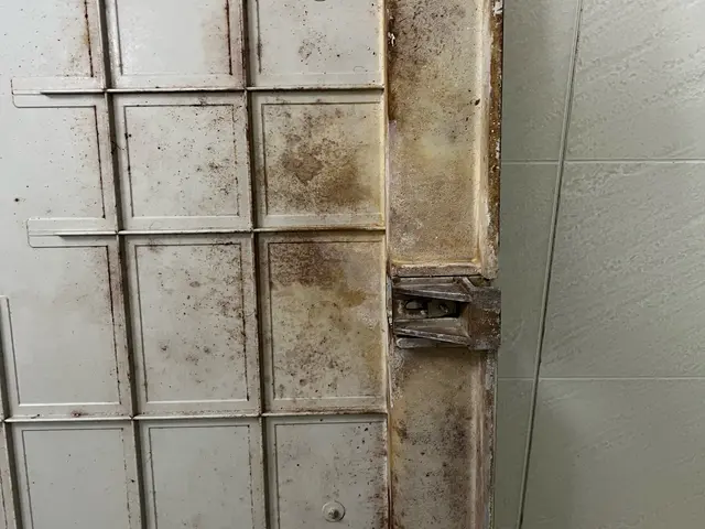 ◎NPO法人日本ハウスクリーニング協会員◎お客様目線でしっかり対応☆高評価店ですサービスの画像