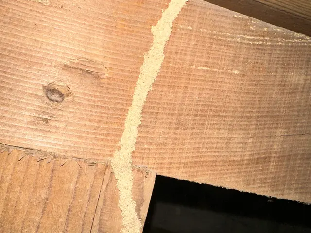 徹底的に白アリを駆除予防致します！　5年保証付き◎サービスの画像