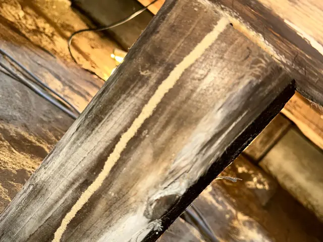 徹底的に白アリを駆除予防致します！　5年保証付き◎サービスの画像