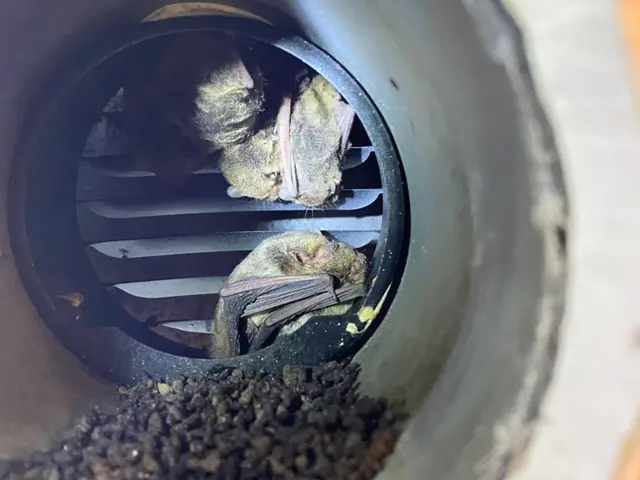 【再発防止】【施工の美しさ】プロの技術で安心◎土日祝もご予約大歓迎です。サービスの画像