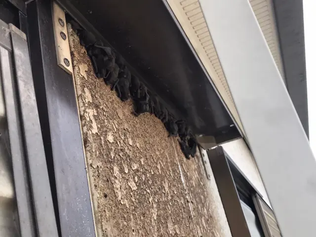 【再発防止】【施工の美しさ】プロの技術で安心◎土日祝もご予約大歓迎です。サービスの画像