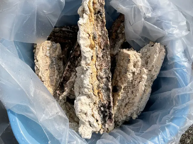 ◎蓄積した汚れを徹底除去！◎産業洗浄技能士１級取得者［薬品洗浄対応可能］サービスの画像