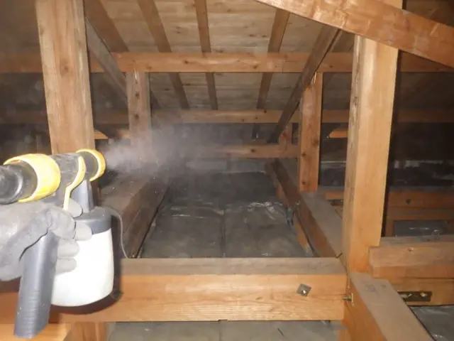 コウモリ駆除歴10年以上の有資格者多数在籍【事前見積り無料】【事前調査可能】サービスの画像