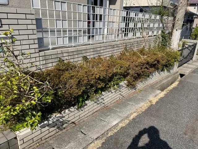 【１月６日～OK！】年間作業数300件のプロが伺います！オンラインカード可◎サービスの画像