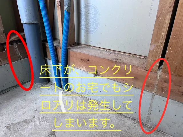 ◆5年保証◆保証書.施工写真付き◆駆除資格有り◆実績豊富◆親切丁寧な接客サービスの画像