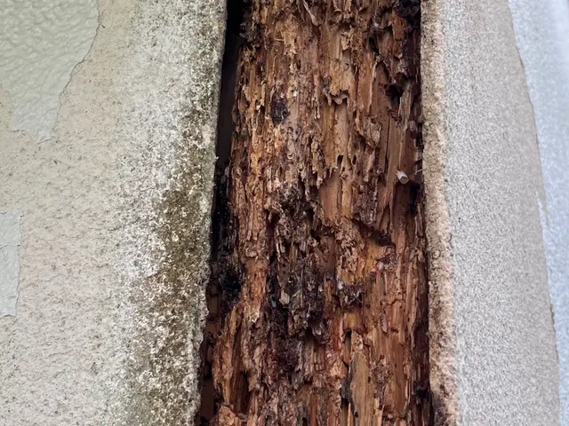 ◆5年保証◆保証書.施工写真付き◆駆除資格有り◆実績豊富◆親切丁寧な接客サービスの画像