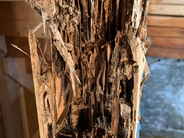 ◆5年保証◆保証書.施工写真付き◆駆除資格有り◆実績豊富◆親切丁寧な接客サービスの画像