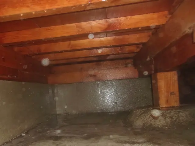 ◆5年保証◆保証書.施工写真付き◆駆除資格有り◆実績豊富◆親切丁寧な接客サービスの画像