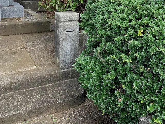 【八柱霊園はお任せください/女性スタッフ/英語対応可能】丁寧が評判の掃除やです。サービスの画像