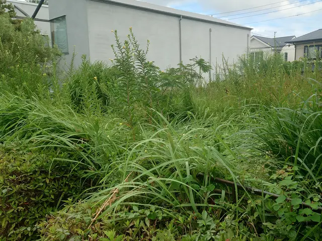 あなたの「困った」を当社スタッフが全力で解決します！サービスの画像