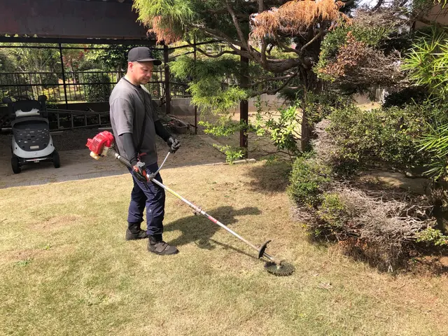 草刈り時期がやって参りました！個人経営だからこそ、即日対応します！ぜひご相談を！サービスの画像