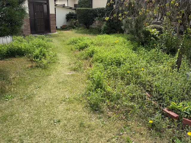 草刈り時期がやって参りました！個人経営だからこそ、即日対応します！ぜひご相談を！サービスの画像