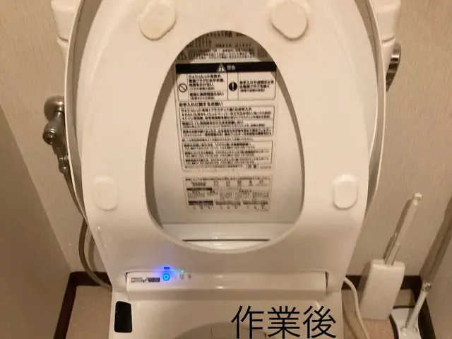 トイレクリーニングサービスの画像