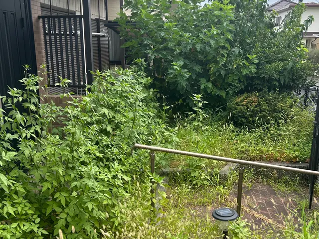 庭木の未来を見据えた剪定！一級造園資格者在籍！お庭一式なら割引あります！サービスの画像