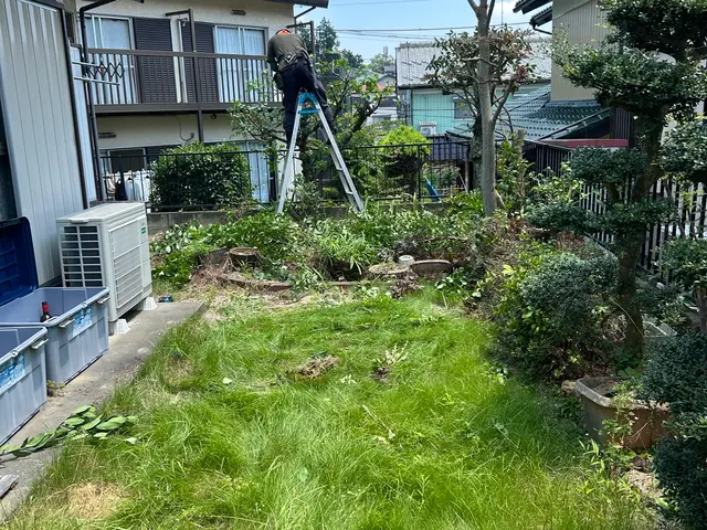 庭木の未来を見据えた剪定！一級造園資格者在籍！お庭一式なら割引あります！サービスの画像