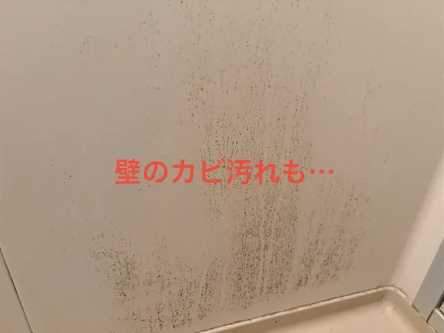 浴室(エプロン内含む)洗浄サービスの画像