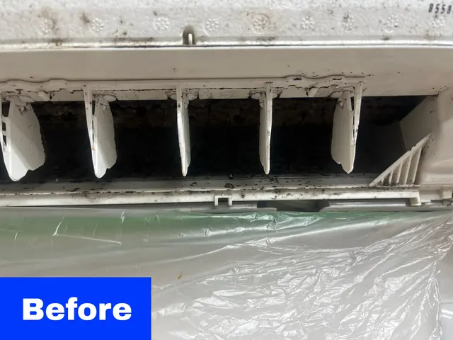 エアコンクリーニング/壁掛けタイプサービスの画像