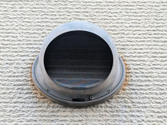 コウモリ駆除ハンターサービスの画像