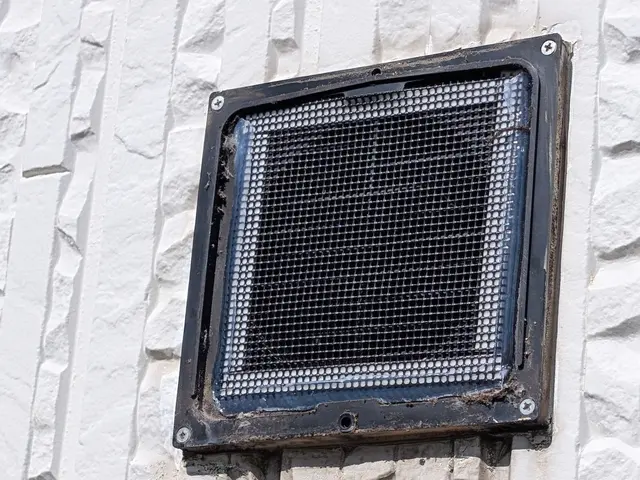 コウモリ駆除ハンターサービスの画像