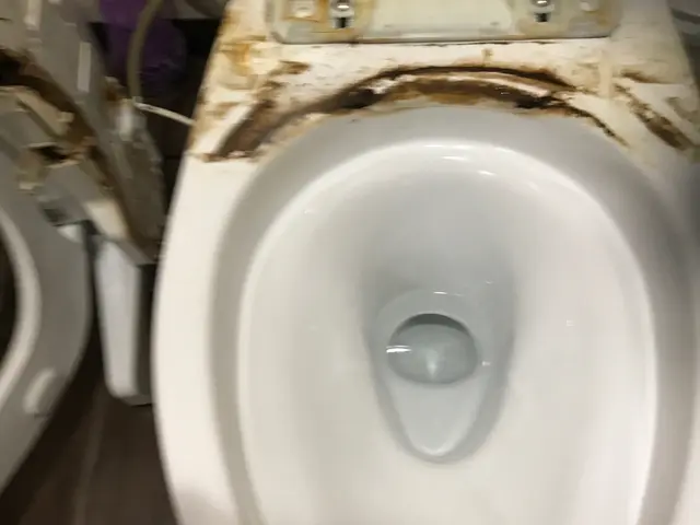 汚れが溜まってどうにもならなくなったトイレでも掃除します。サービスの画像