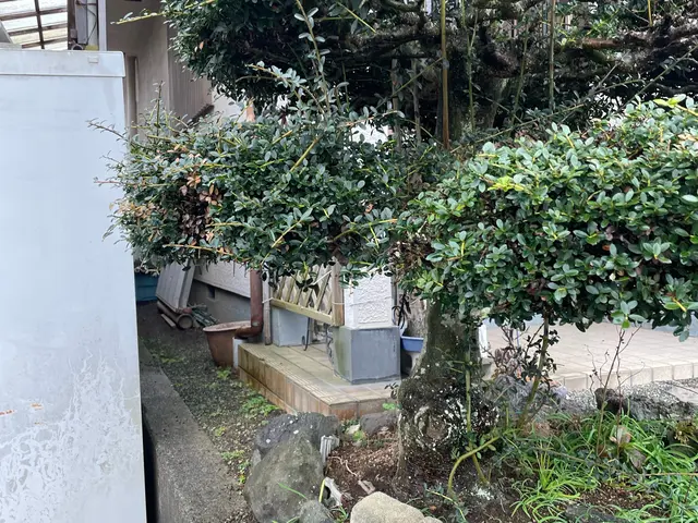 草刈り、草むしり、伐採お任せください。　空き家、別荘、自宅◎ 残置物回収◎サービスの画像