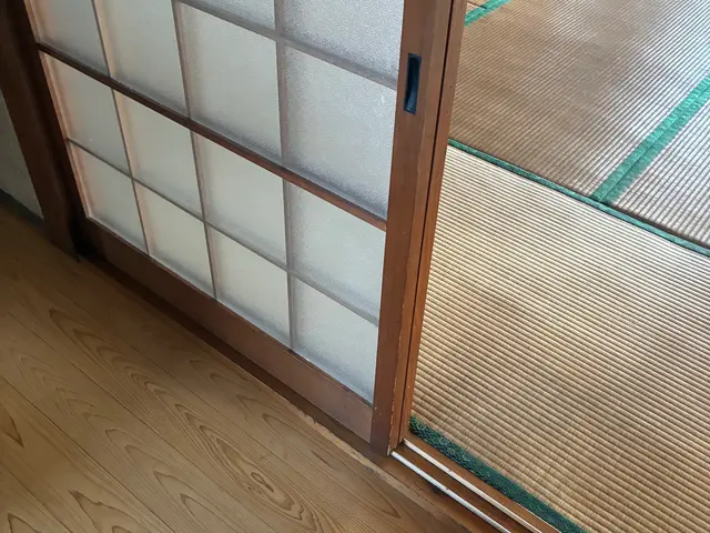 引戸（主に室内用）のレール及び戸車の調整及び交換して/引戸（戸車無し）の調整加工サービスの画像