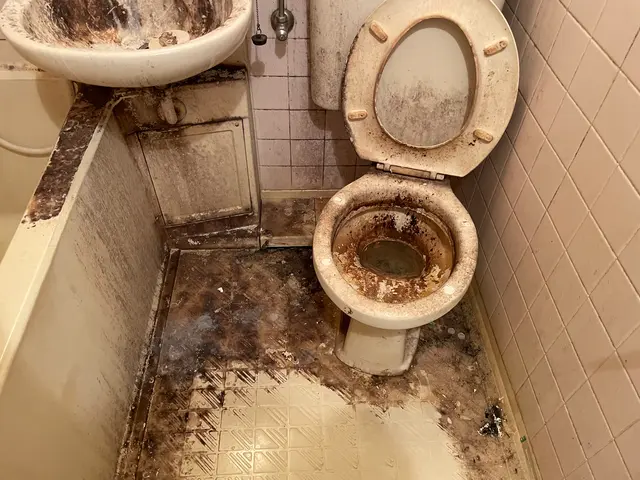 女性のみ＆同行作業可能・損害保険加入済み・外注無し年中無休で営業中！サービスの画像