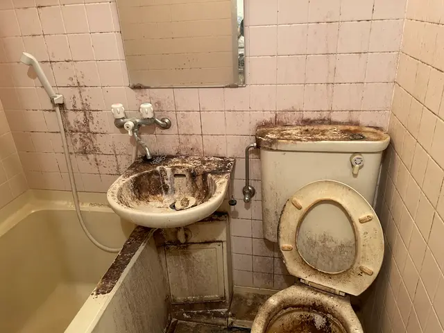 女性のみ＆同行作業可能・損害保険加入済み・外注無し年中無休で営業中！サービスの画像