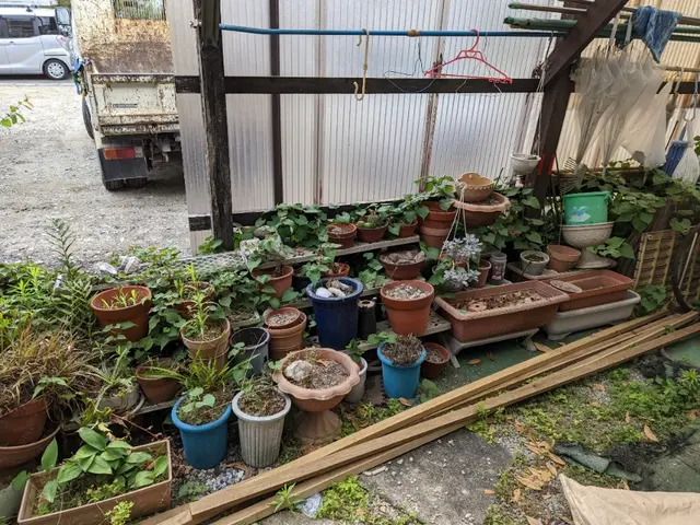 不用品回収2tトラックサービスの画像