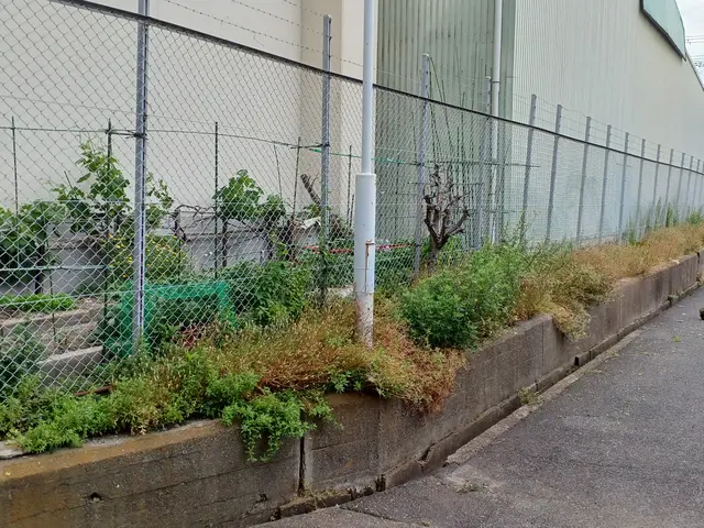 手に負えない雑草、機械で一気に迅速丁寧に作業いたします。サービスの画像