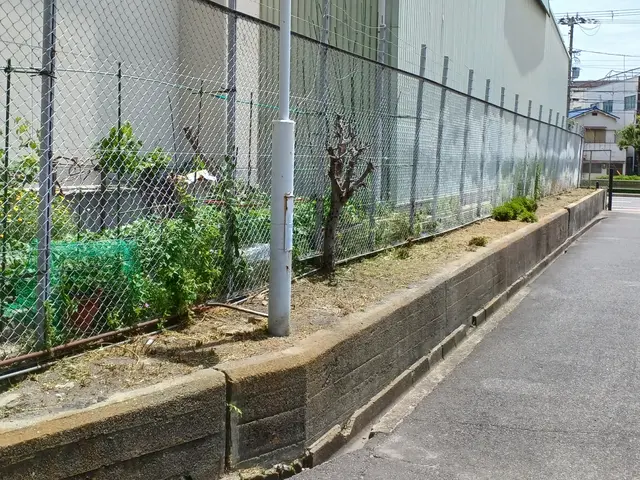 手に負えない雑草、機械で一気に迅速丁寧に作業いたします。サービスの画像