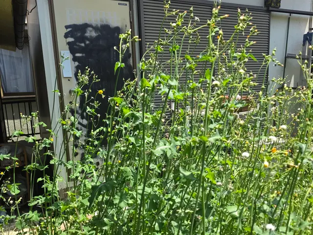 【地域密着店】あなたの「困った」を全力で解決します！サービスの画像