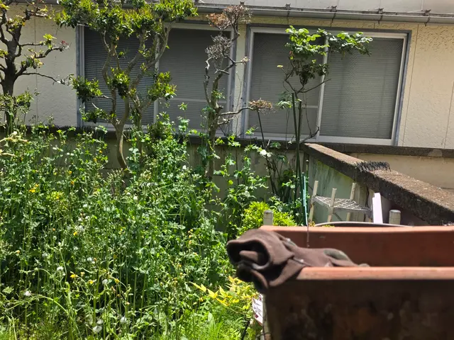 【地域密着店】あなたの「困った」を全力で解決します！サービスの画像