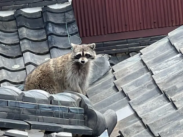お子様・ペット・家屋にも安心安全な施工。養生などの徹底！10年以上の経験にて★サービスの画像