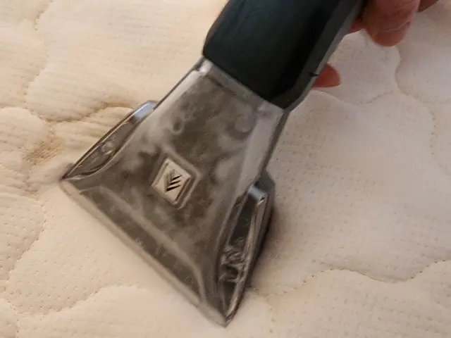 お子様やペットのいるご家庭歓迎！睡眠の質を上げるハウスダスト対策の丁寧仕上げサービスの画像