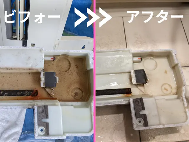 12年の実績＋損害保険完備。安心して任せられるプロの技。サービスの画像