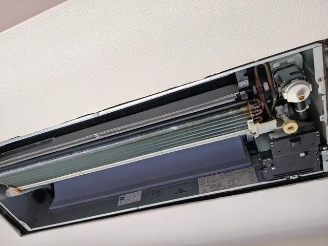 12年の実績＋損害保険完備。安心して任せられるプロの技。サービスの画像