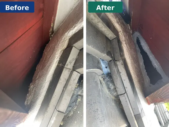 【害獣駆除歴8年】再発させません！最短即日対応　皆さまの安心安全を守ります！サービスの画像