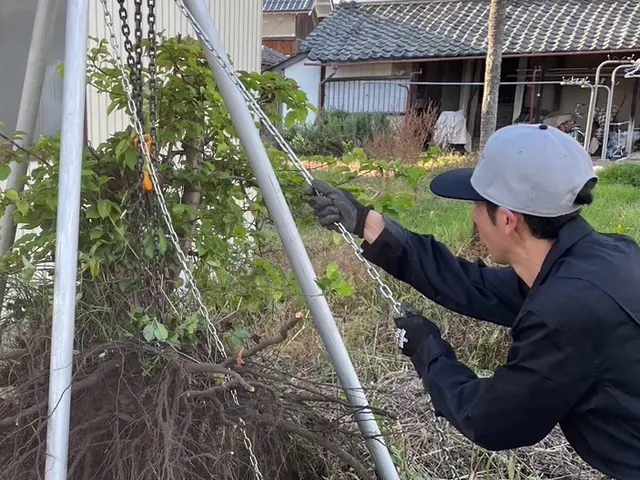 ◤伐採/抜根お任せください★◢伐採から廃棄まで一連やります！プロの施工で安心！！サービスの画像