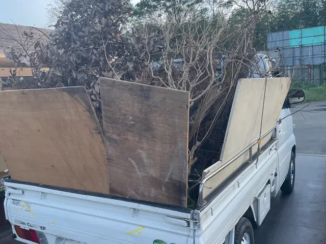 ◤伐採/抜根お任せください★◢伐採から廃棄まで一連やります！プロの施工で安心！！サービスの画像