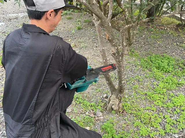 ◤伐採/抜根お任せください★◢伐採から廃棄まで一連やります！プロの施工で安心！！サービスの画像