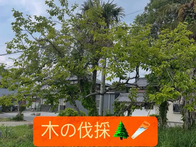 ◤伐採/抜根お任せください★◢伐採から廃棄まで一連やります！プロの施工で安心！！サービスの画像